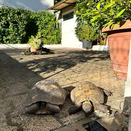 2 & Moulleau Acces - Salle De Bain & Coin Petit Dejeuner Daire Arcachon